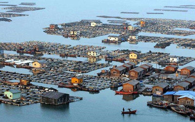 渔业养殖水产水质监测及视频监控系统方案