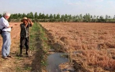 ip modem工业网关防旱地下水情数据采集传输