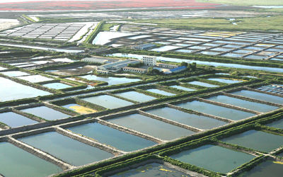 <b>江水河水湖泊水质五参数在线远程无人值守实时采集</b>