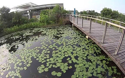 湿地公园生态观测记录即时监看系统