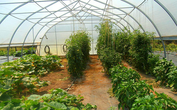 气象站土壤氮磷钾监测减少氮肥施作的土地经营管理气候变迁影响