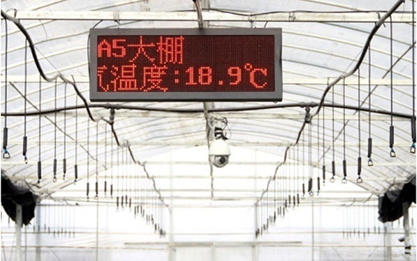 智能大棚云平台智能农业监控系统