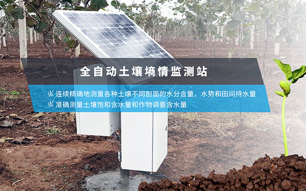 土壤水势张力智能传感器监测