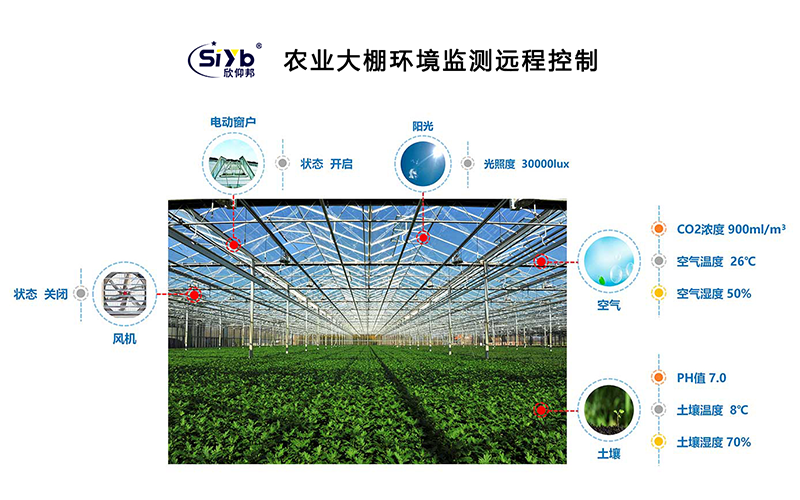智能大棚温湿度环境监测医用大麻农场种植