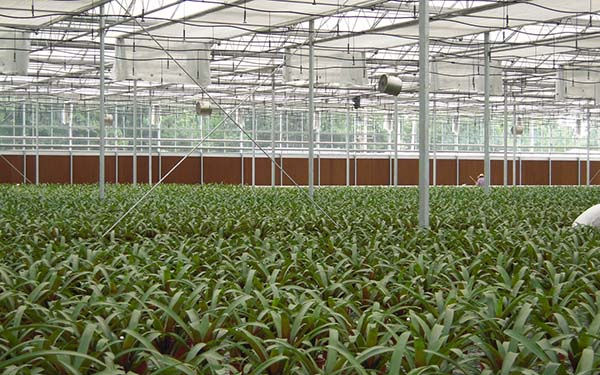 5G智慧大棚实时生产环境数据采集