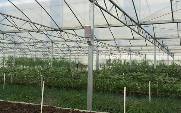 5G网络大棚环境控制信息化大棚环境监控系统