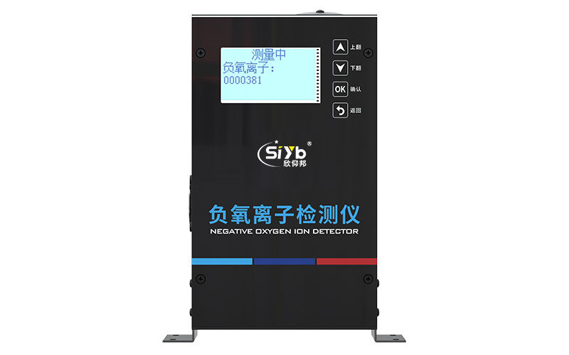 S-SCNE 负氧离子检测仪