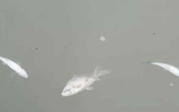 海水水质监测网格化远程实时采集