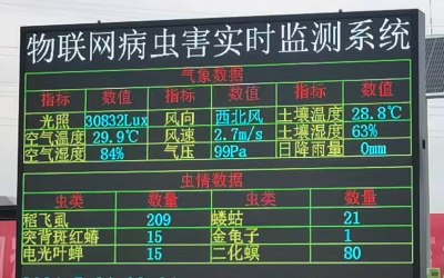 农田AI病虫害预测系统应用方案